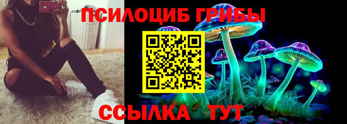 Галлюциногенные грибы GOLDEN TEACHER Сокол